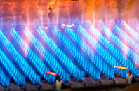 Wilton gas fired boilers